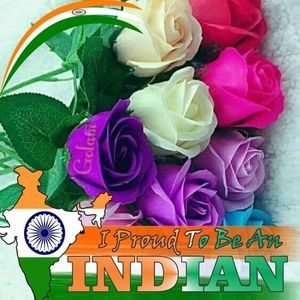 Meet your Posher, Pushpa